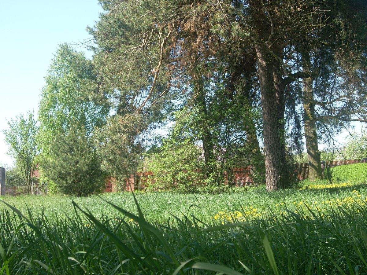 Działka budowlana Biała Podlaska, ul. Łomaska. Zdjęcie 4