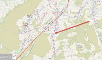 Działka budowlana Laliki Berkówka