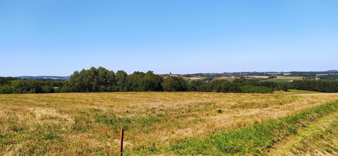 Działka budowlana Szalowa. Zdjęcie 7