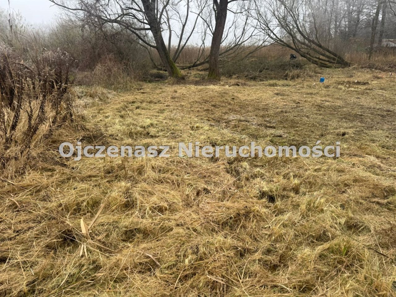 Działka budowlana Jeleń. Zdjęcie 7