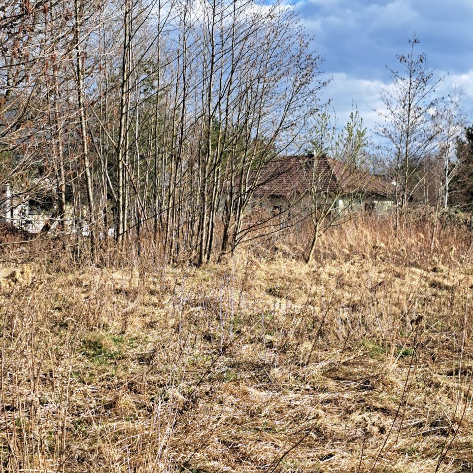 Działka budowlana Ławki, ul. Główna. Zdjęcie 2