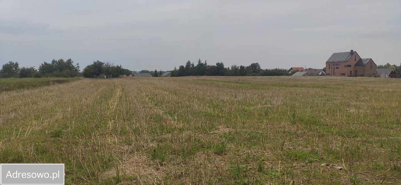 Działka rolna Nowa Wieś Malborska, ul. Sienna. Zdjęcie 4