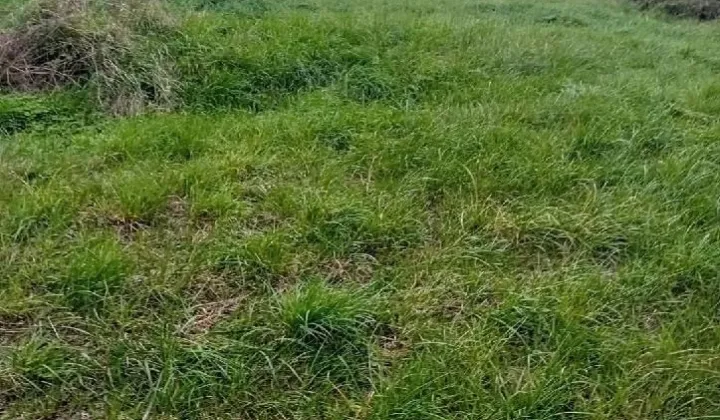 Działka budowlana Szumiłowo