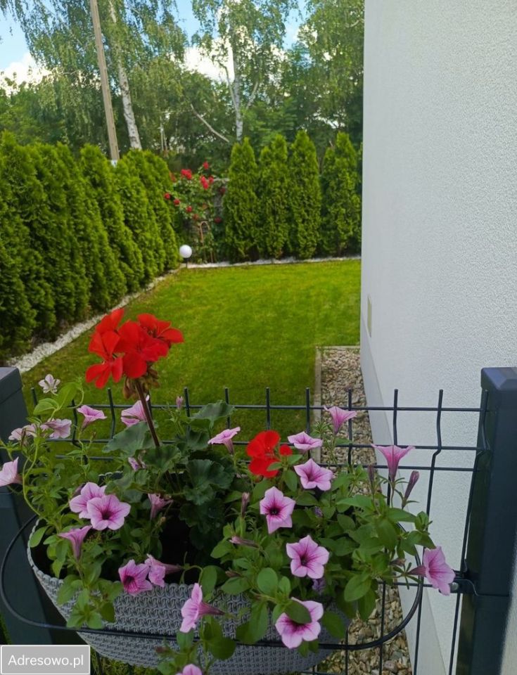 bliźniak, 4 pokoje Warszawa Ursynów, ul. Cymbalistów. Zdjęcie 5