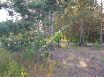 Działka budowlana Jesionka. Zdjęcie 4