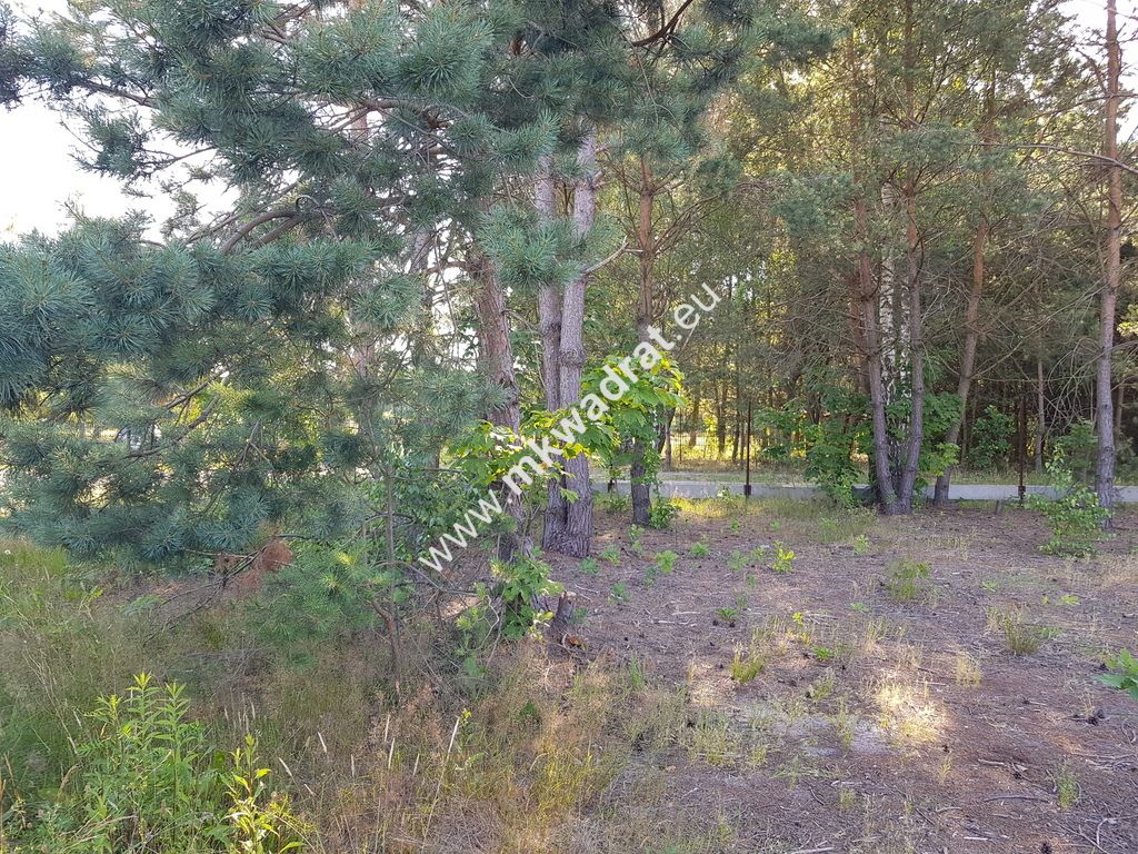 Działka budowlana Jesionka. Zdjęcie 6