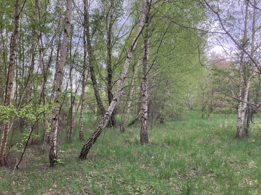 Działka budowlana Jagatowo, ul. Maślakowa. Zdjęcie 3