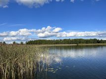 dom wolnostojący, 6 pokoi Odoje. Zdjęcie 3