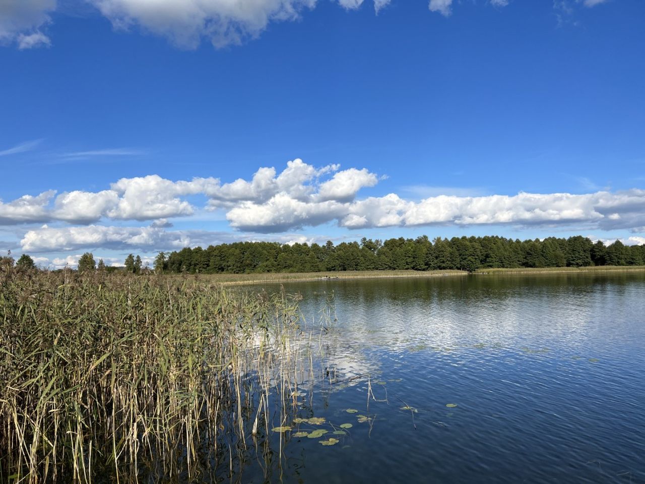 dom wolnostojący, 6 pokoi Odoje. Zdjęcie 4