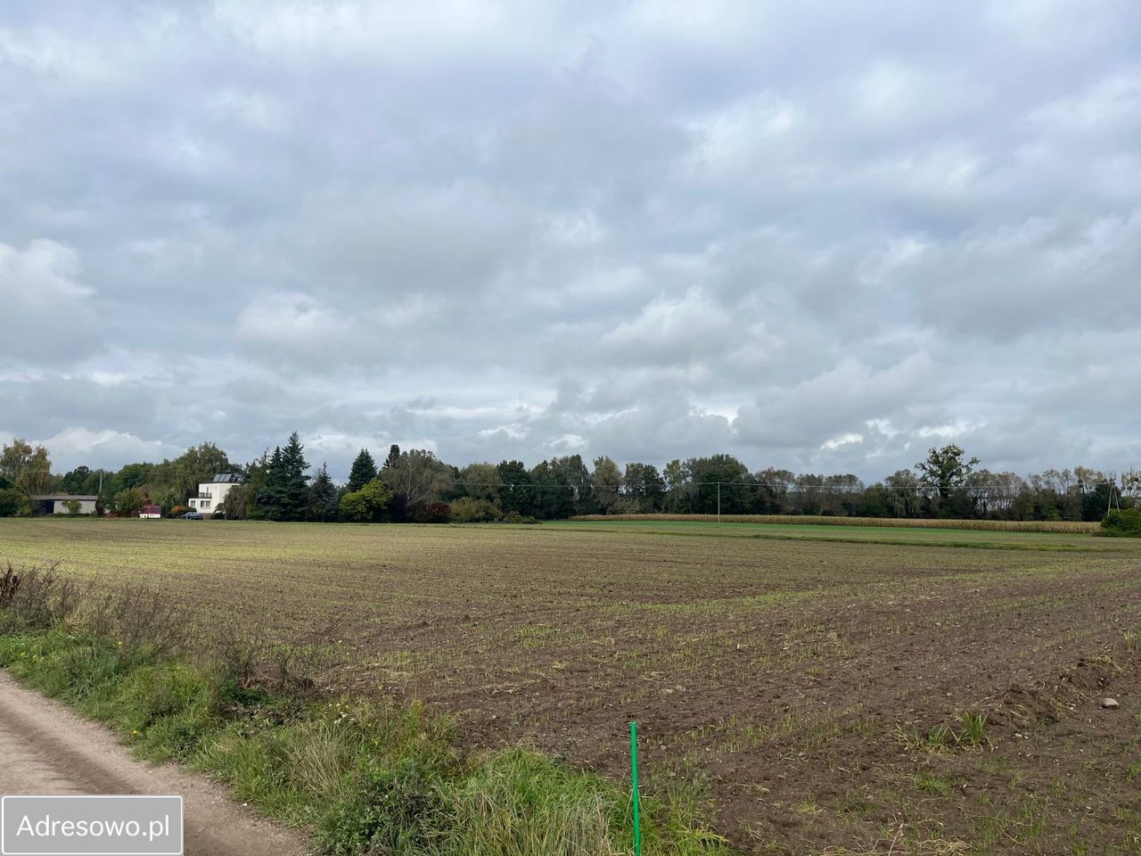 Działka budowlana Grzebienisko, ul. Huby. Zdjęcie 1