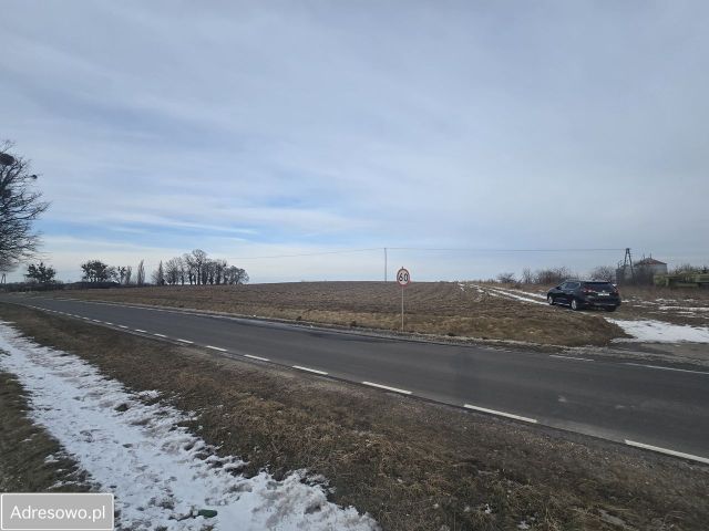 Działka rolno-budowlana Rogówko. Zdjęcie 1