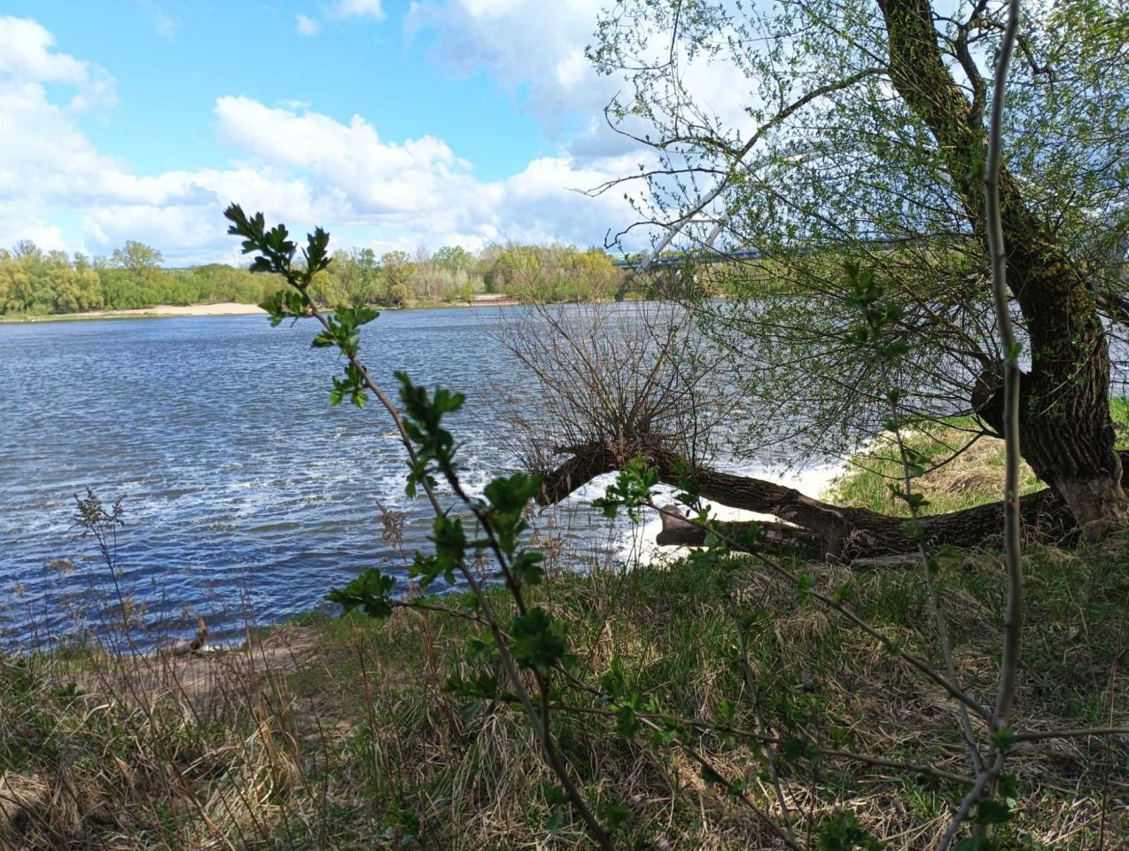 Działka rod Toruń. Zdjęcie 5