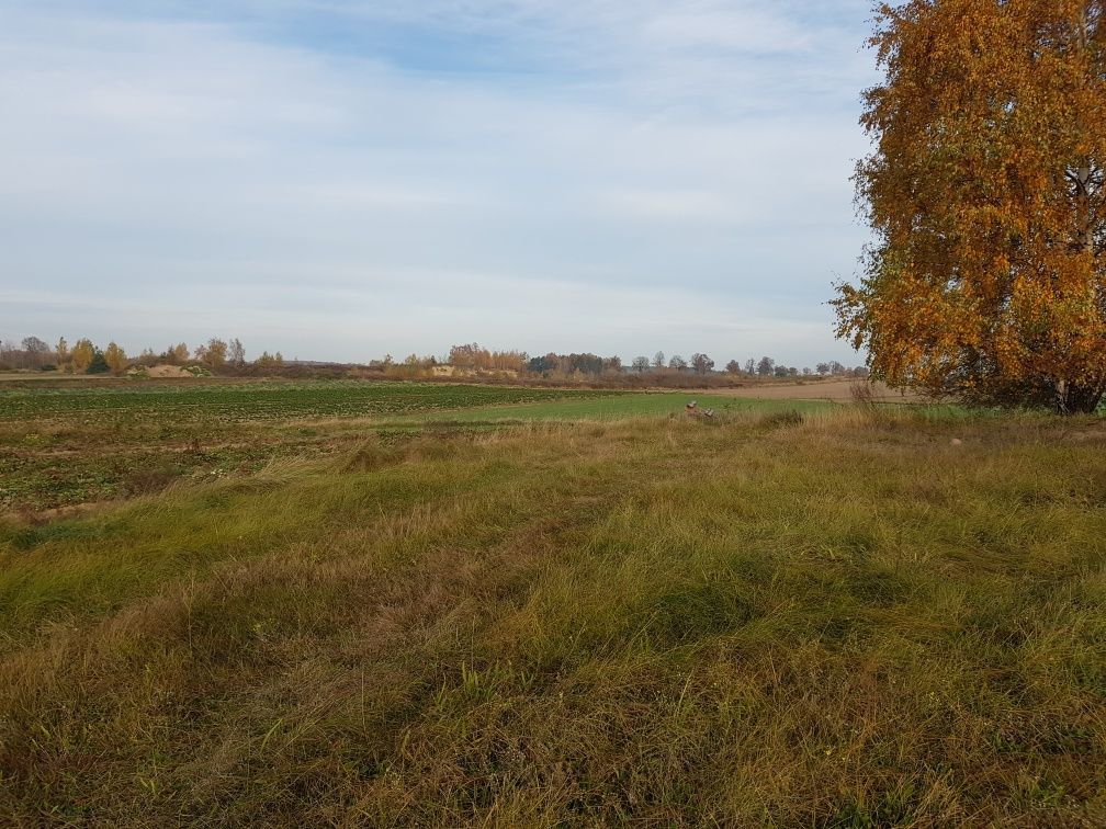 Działka inwestycyjna Komsin. Zdjęcie 2