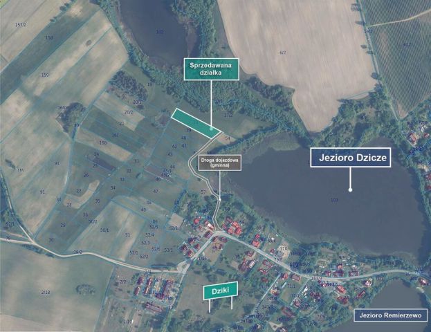 Działka budowlana Dziki. Zdjęcie 6