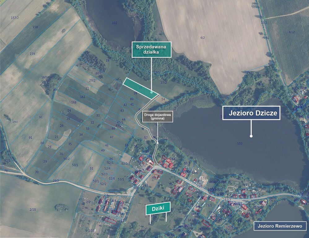 Działka budowlana Dziki. Zdjęcie 6