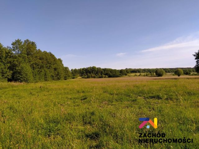 Działka siedliskowa Droszków. Zdjęcie 2