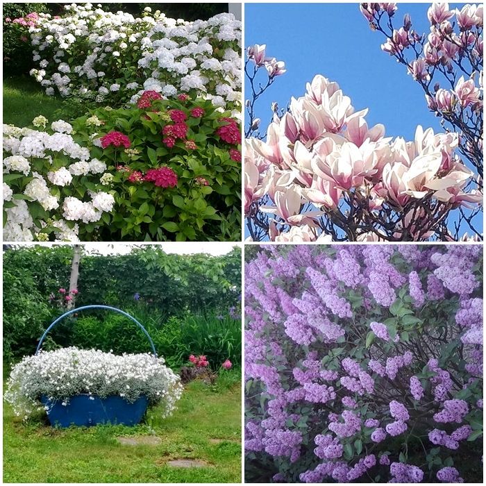 dom wolnostojący, 11 pokoi Żory Osiny. Zdjęcie 3