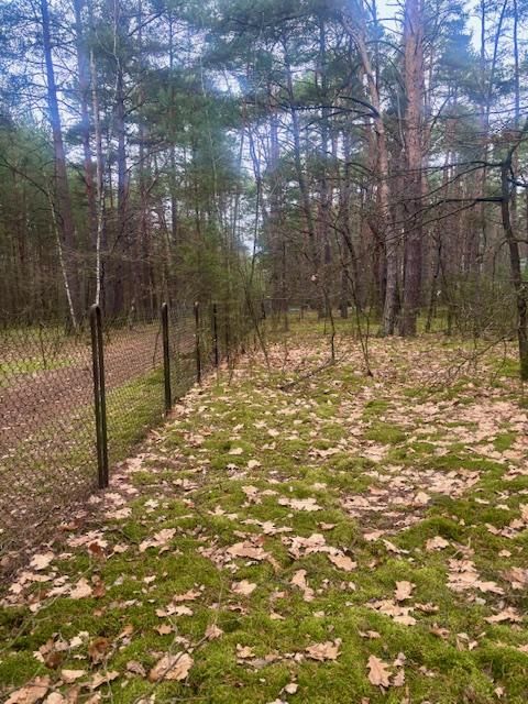 Działka leśna Osiedle Wilga, ul. Sarenek. Zdjęcie 9