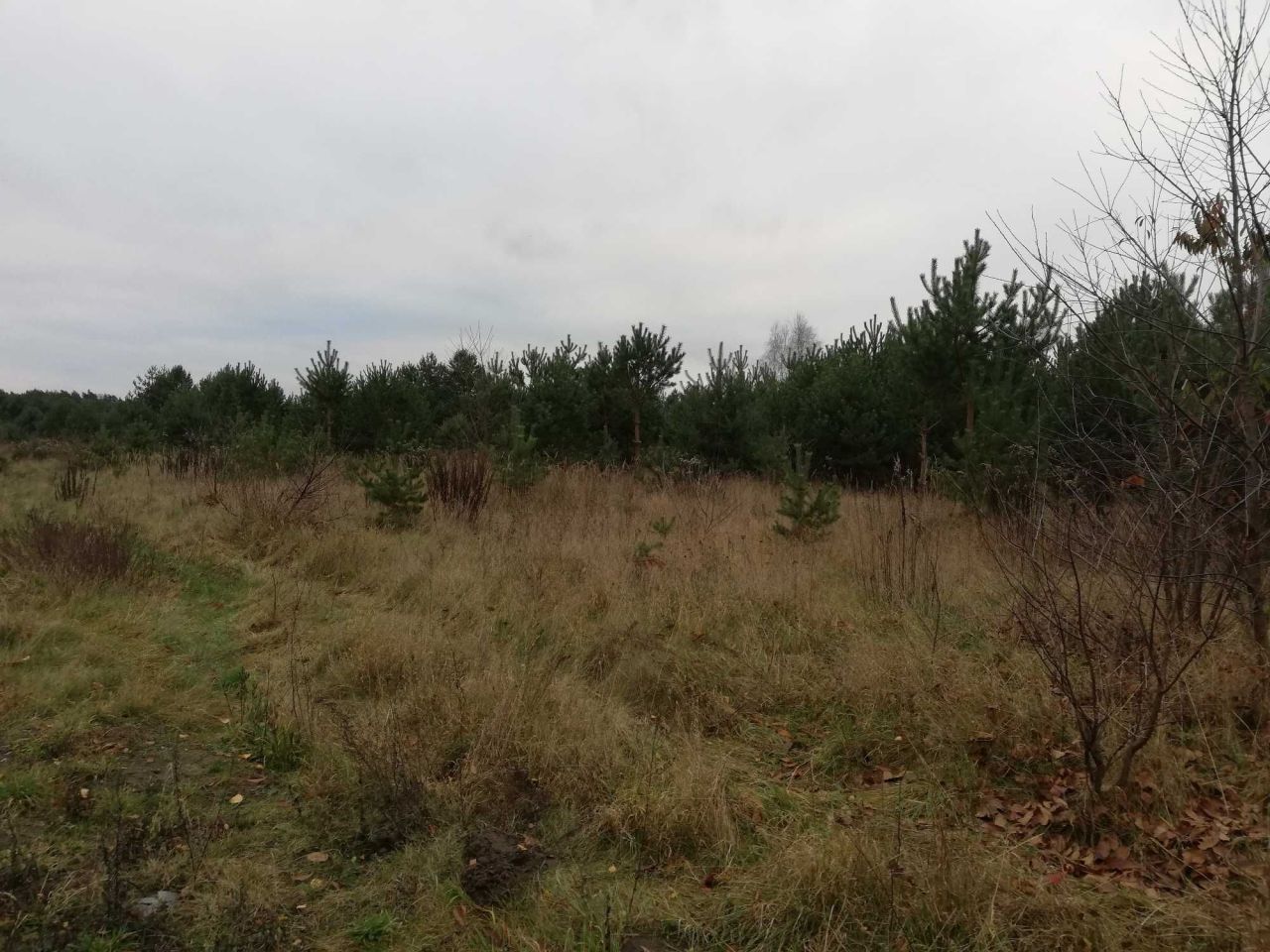 Działka budowlana Sulejów, ul. Dobra Woda. Zdjęcie 3