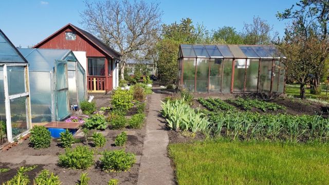 Działka rod Piła, ul. Koszalińska. Zdjęcie 1