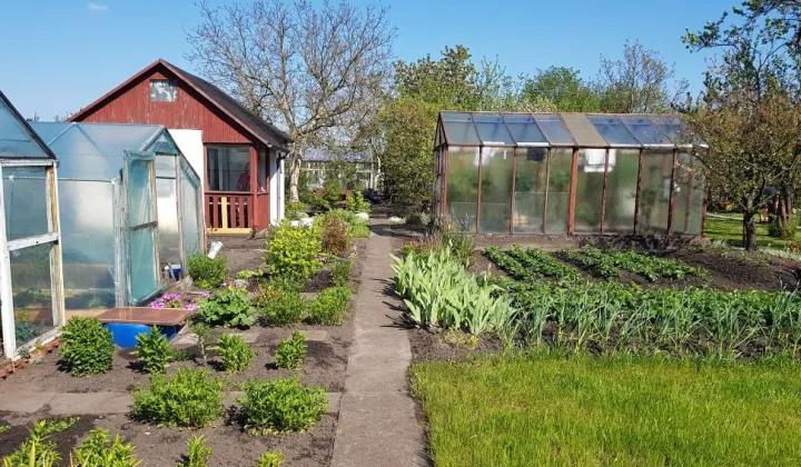 Działka rod Piła, ul. Koszalińska