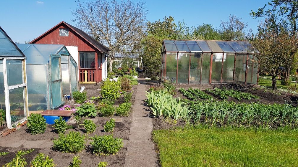 Działka rod Piła, ul. Koszalińska