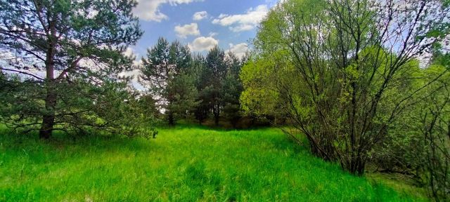 Działka siedliskowa Czarna Woda Lubiki. Zdjęcie 1