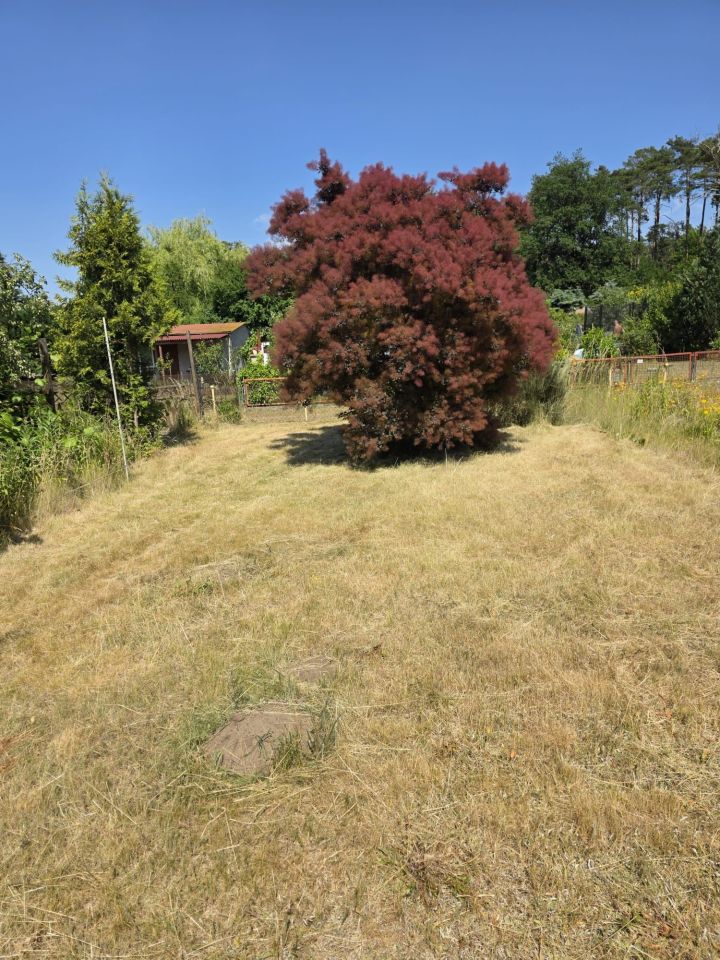 Działka rod Zielona Góra Jędrzychów. Zdjęcie 5