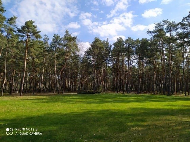 Działka rekreacyjna Biała Góra. Zdjęcie 11