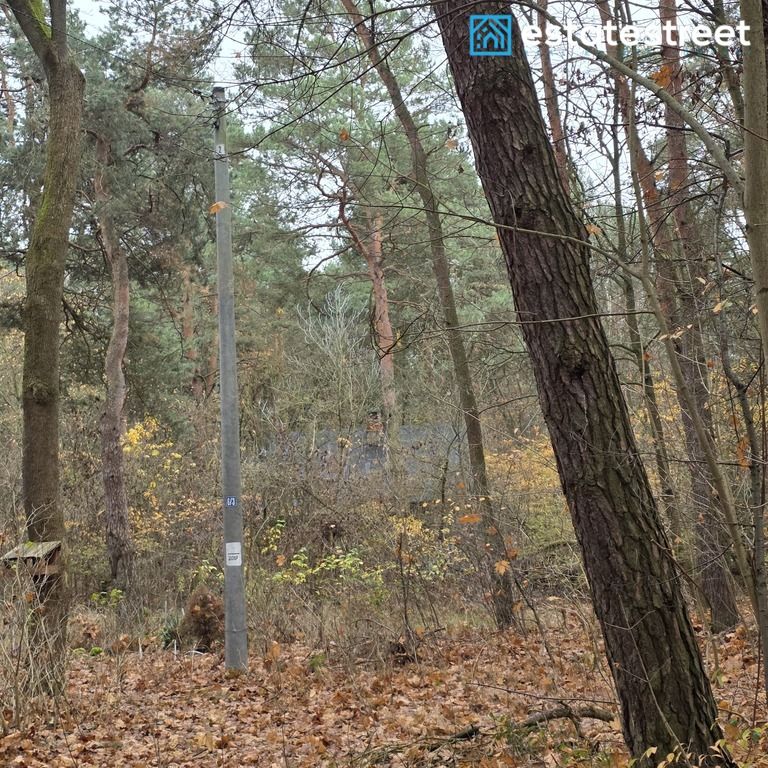 Działka budowlana Otwock, ul. Majowa. Zdjęcie 5