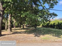 Działka budowlana Chotomów, ul. Niecała. Zdjęcie 1