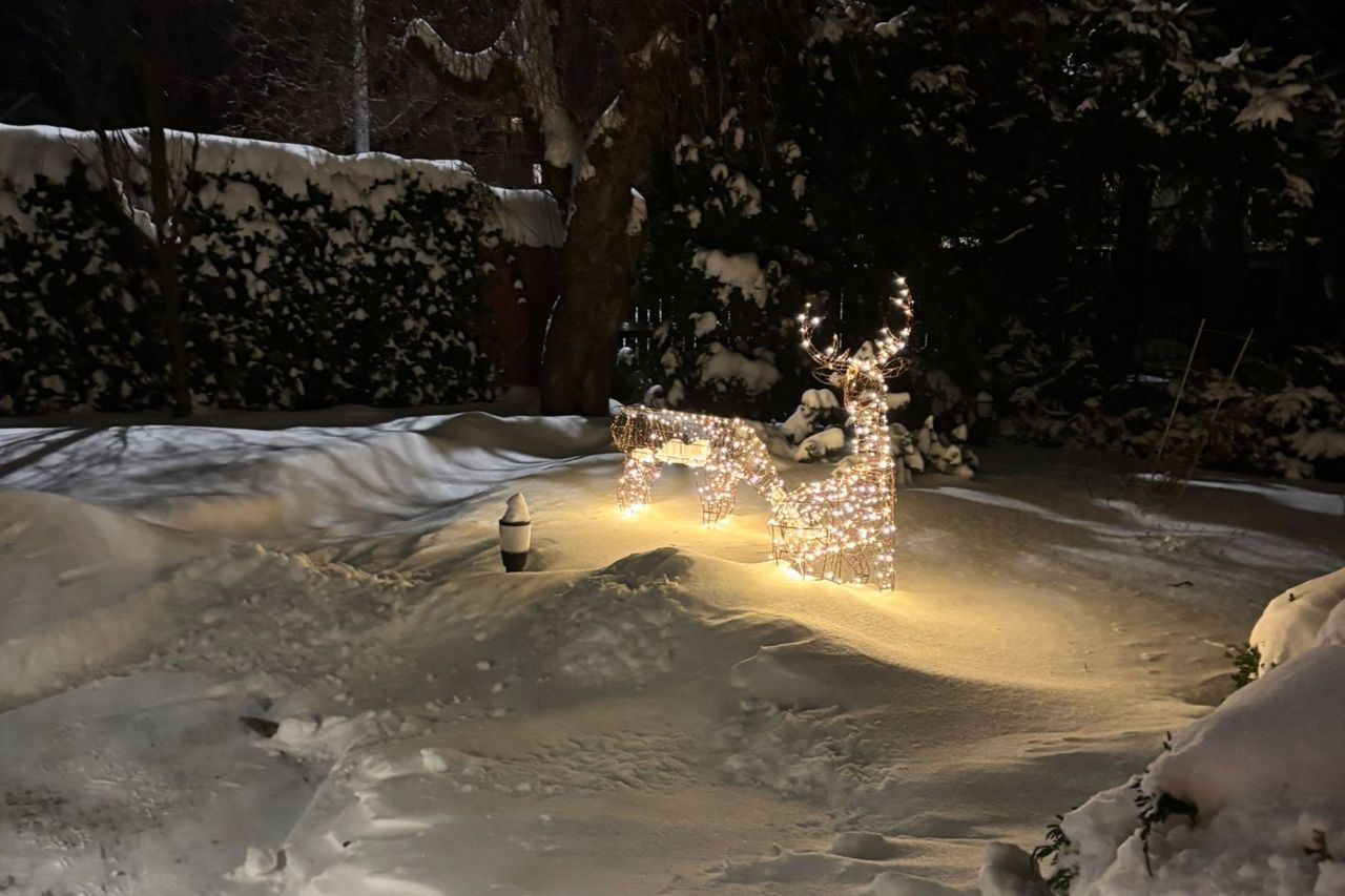 dom wolnostojący, 5 pokoi Tomaszów Lubelski, ul. Wojska Polskiego. Zdjęcie 82