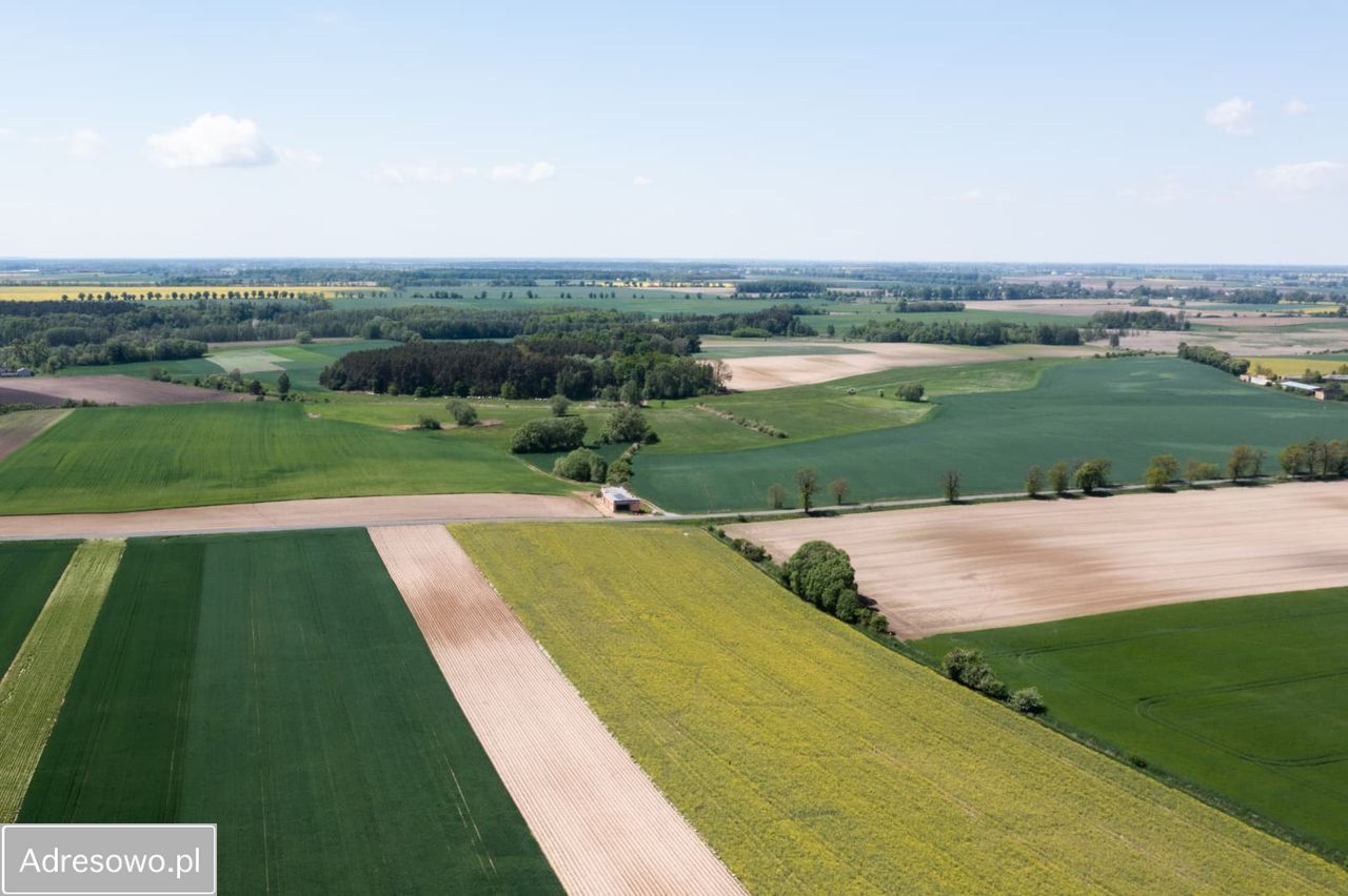 Działka rolna Zielątkowo. Zdjęcie 4