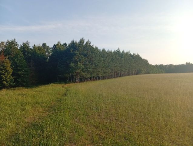 Działka Trzciano. Zdjęcie 1