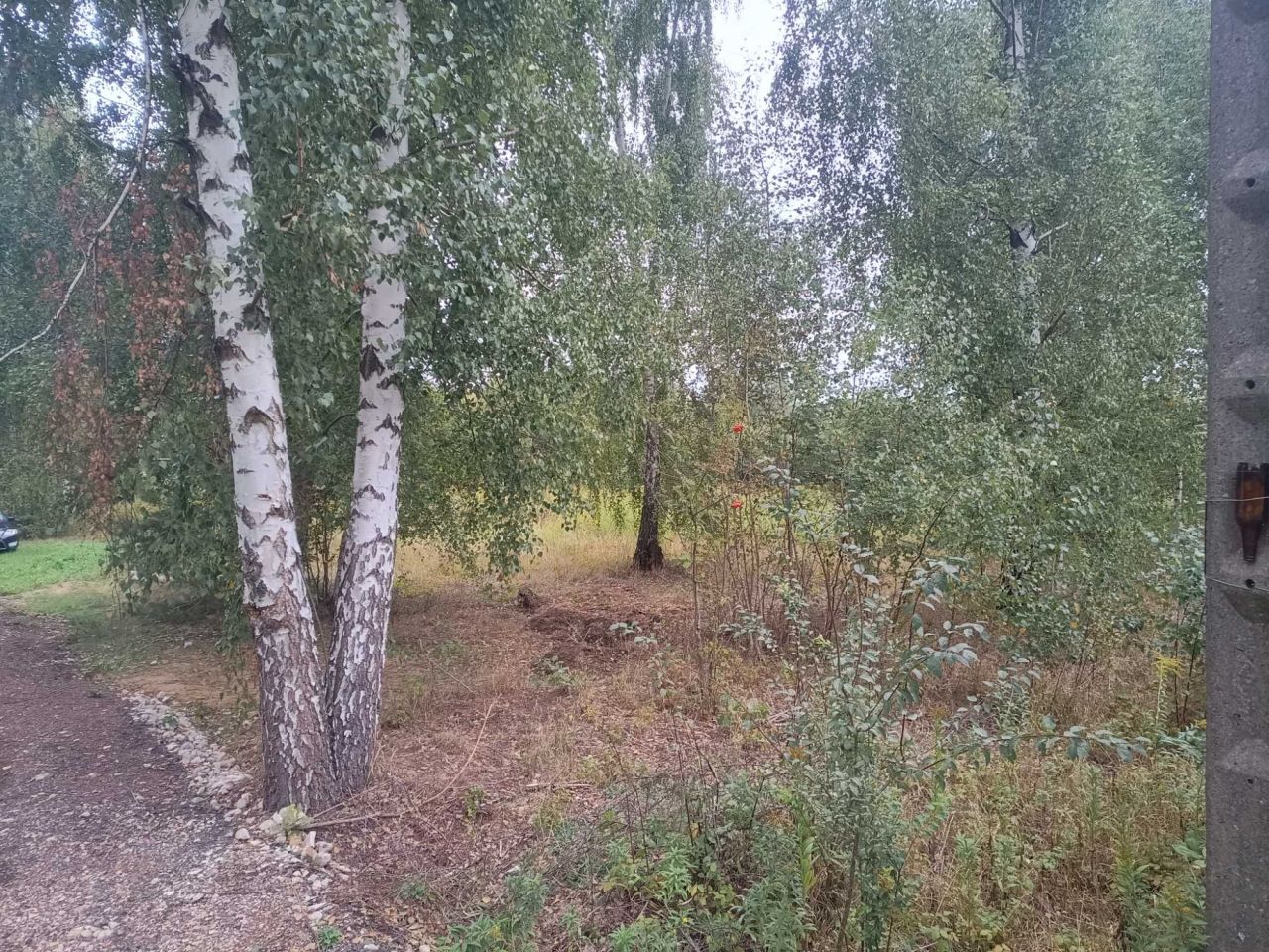 Działka budowlana Paprotnia, ul. Leśna. Zdjęcie 8