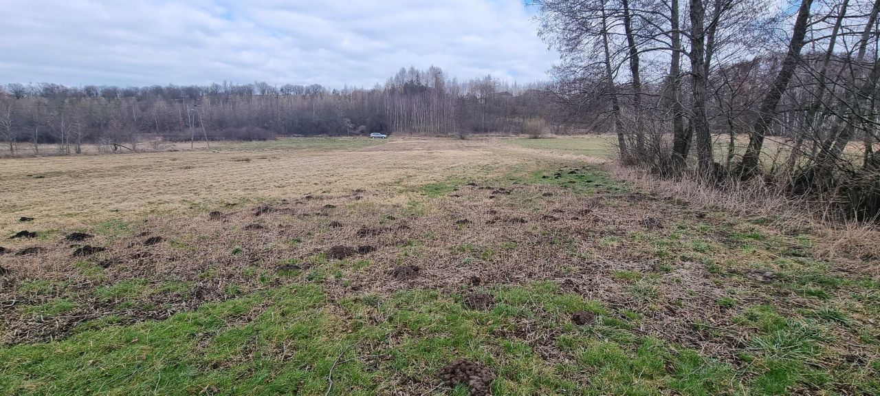 Działka rolna Bobrowniki. Zdjęcie 6