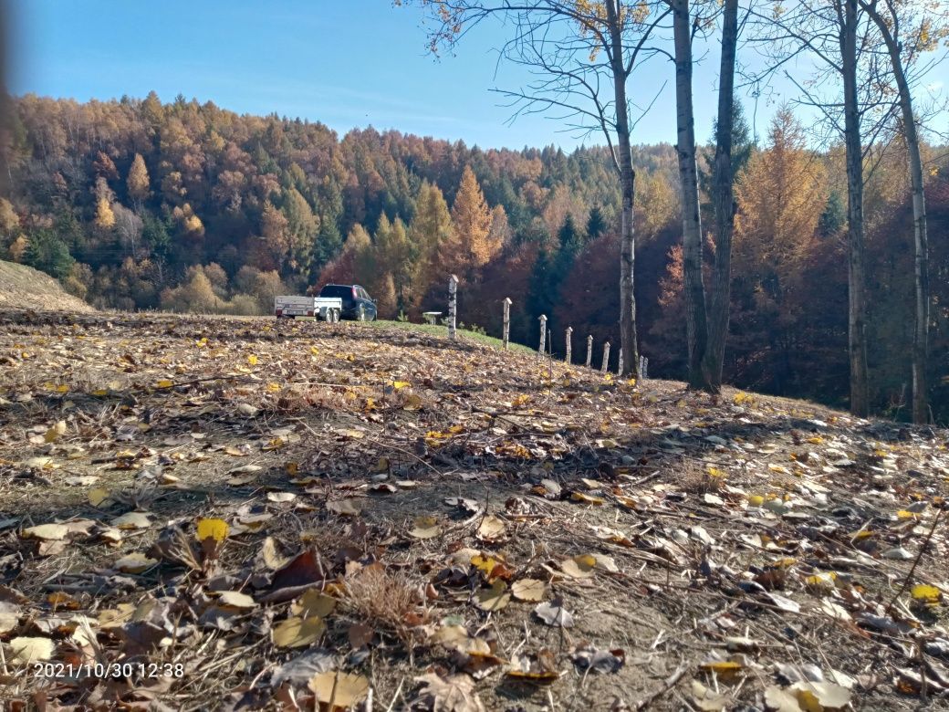Działka budowlana Cisowa. Zdjęcie 7