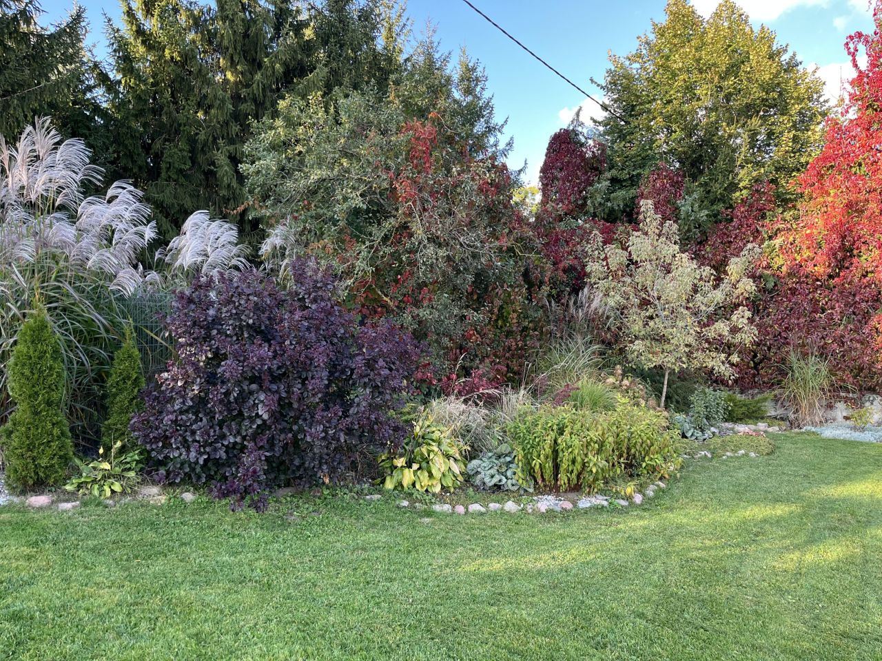 Działka rolno-budowlana Dybowo. Zdjęcie 12