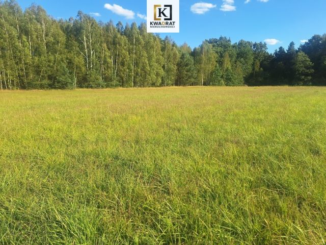 Działka budowlana Chmielew. Zdjęcie 7