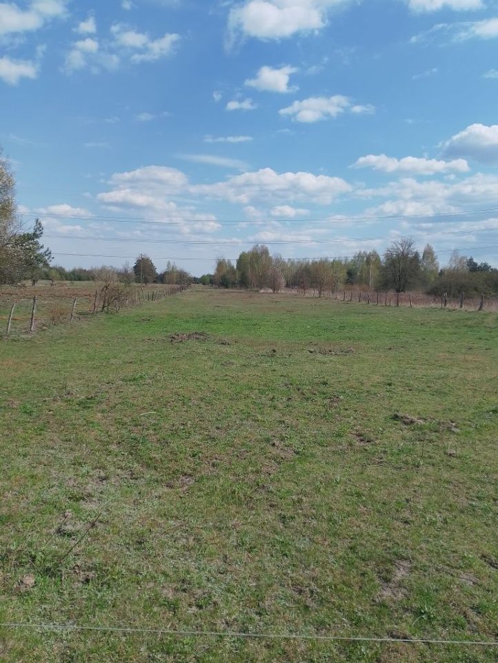 Działka budowlana Aleksandrów, ul. Królewska. Zdjęcie 3