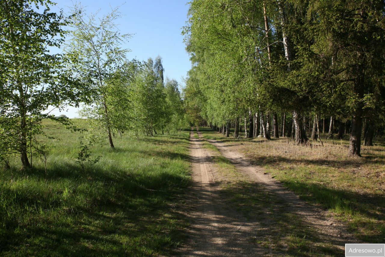 Działka budowlana Zdory. Zdjęcie 5