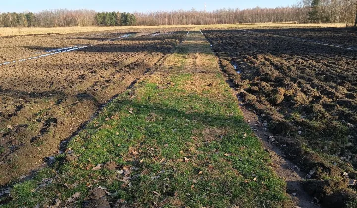 Działka rolno-budowlana Podlesie