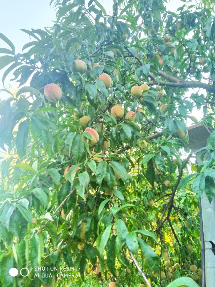 dom wolnostojący, 2 pokoje Uchańka. Zdjęcie 9