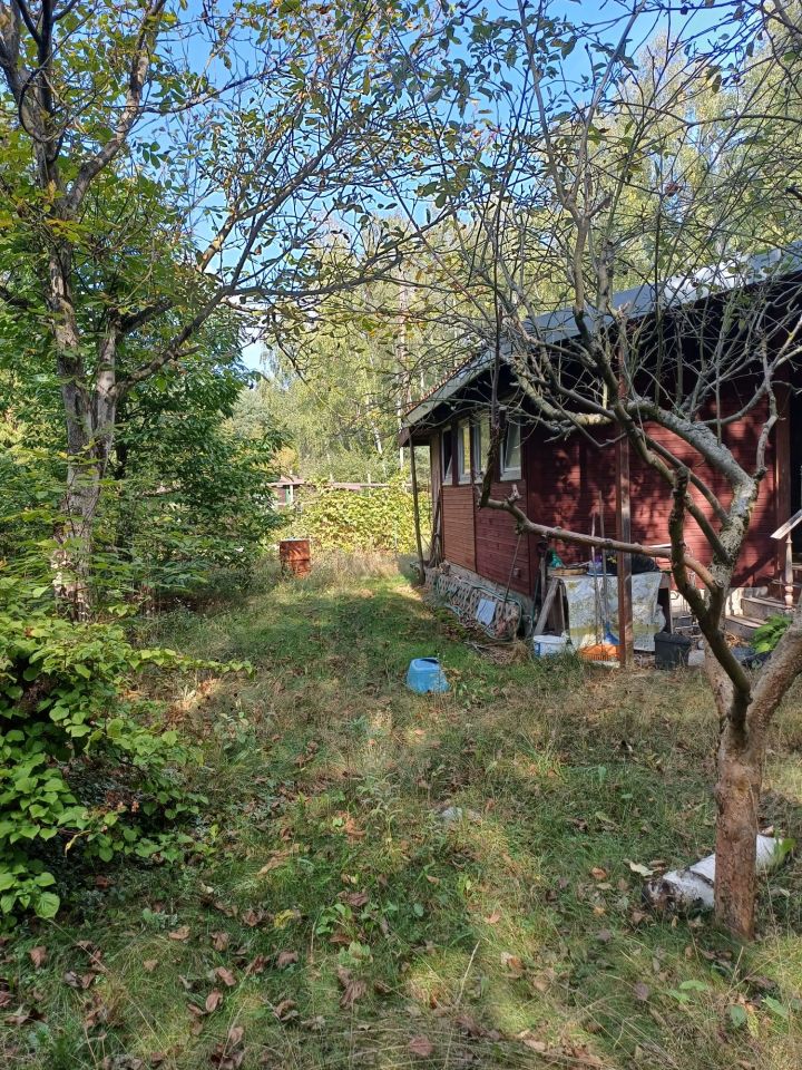 Działka rod Międzyborów. Zdjęcie 5