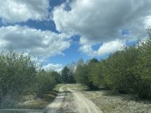 Działka rekreacyjna Szewce. Zdjęcie 3