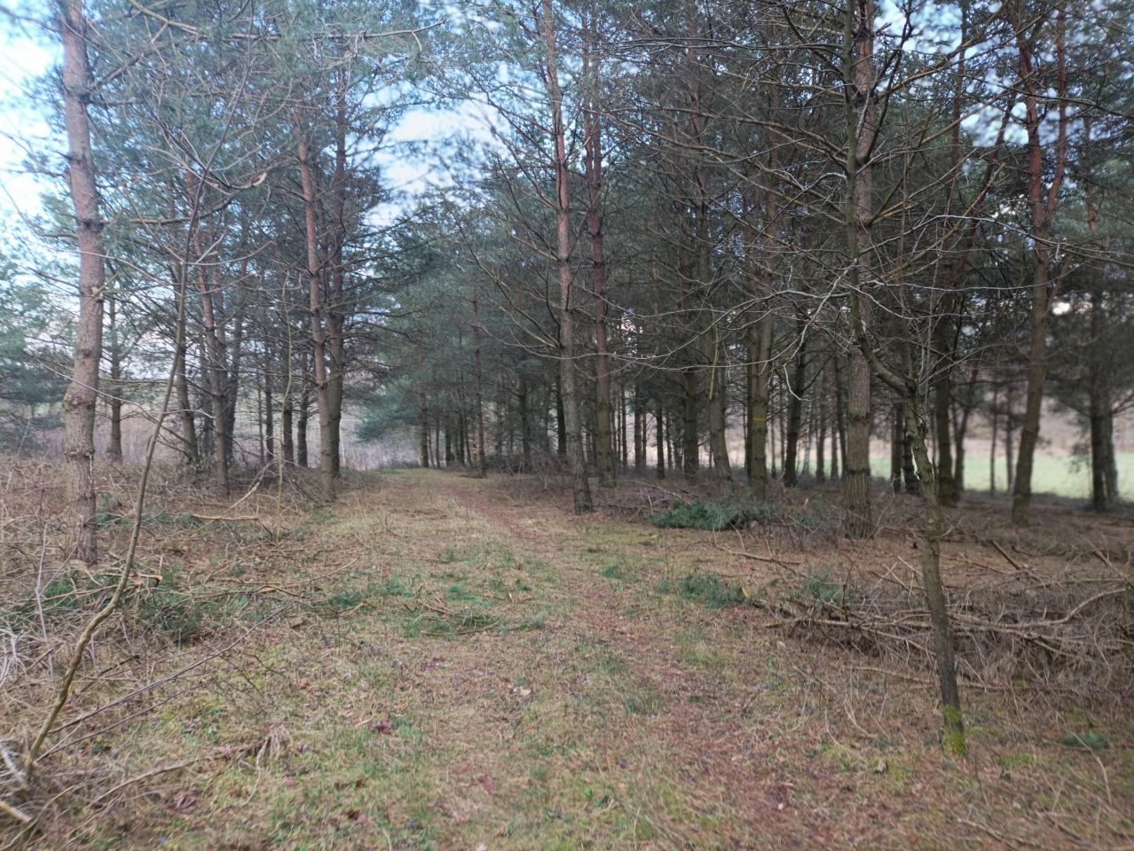 Działka budowlana Wylazłowo. Zdjęcie 11