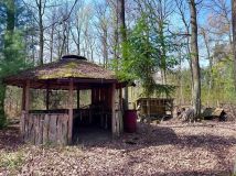 Działka leśna Tłokinia Wielka. Zdjęcie 2