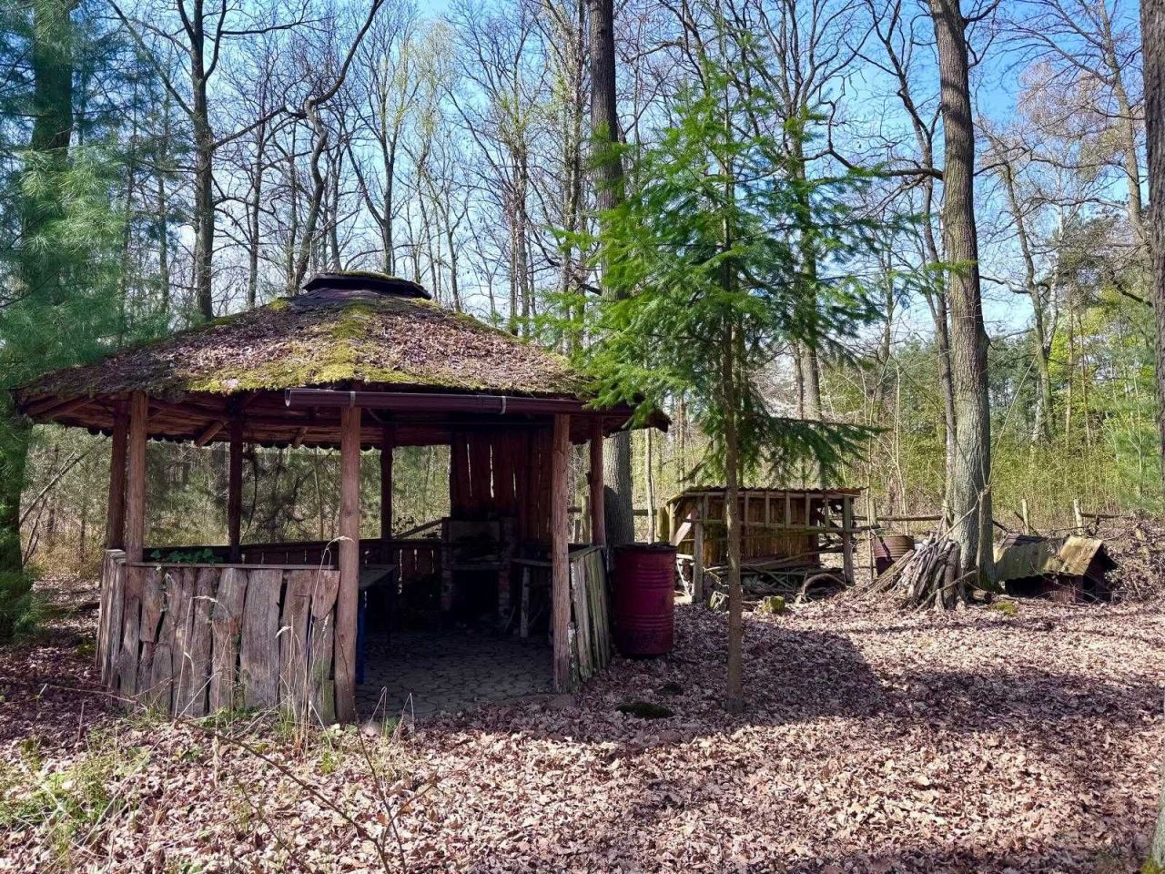 Działka leśna Tłokinia Wielka. Zdjęcie 3