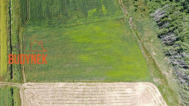 Działka rolna Krupy. Zdjęcie 2