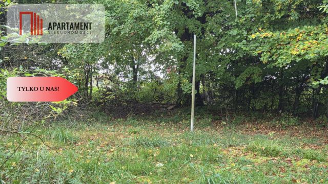 Działka siedliskowa Słowienkowo. Zdjęcie 19